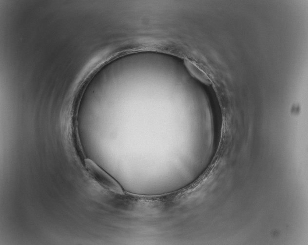 X0000116270101201001111023