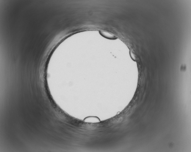 X0000116270103201001111023