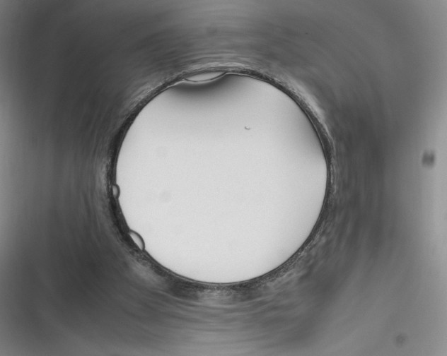 X0000116270105201001111023