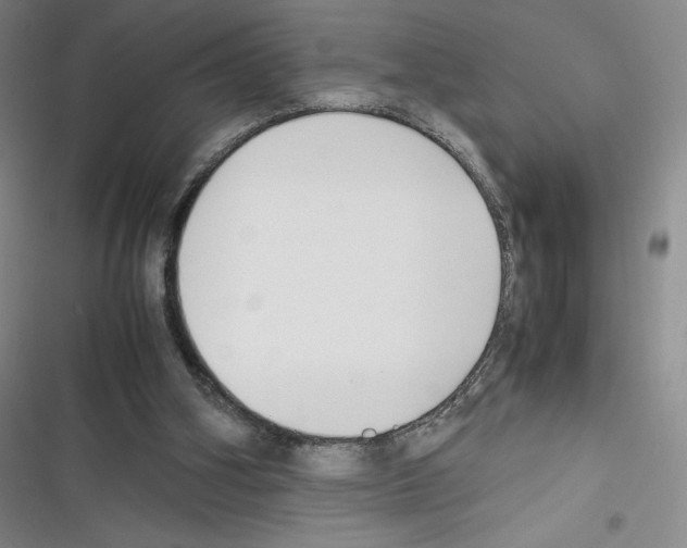 X0000116270106201001111023