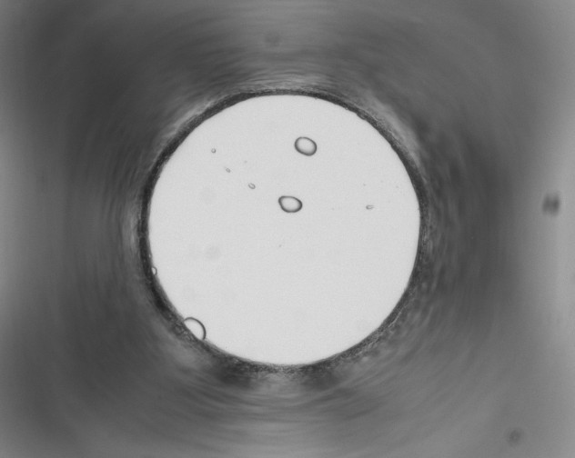 X0000116270107201001111023