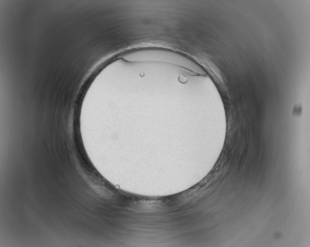 X0000116270108201001111023