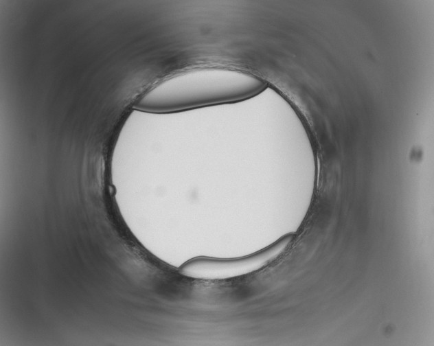 X0000116270109201001111022