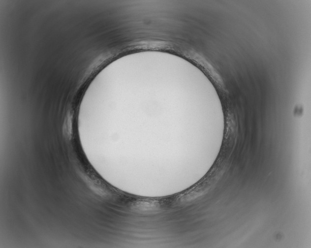 X0000116270110201001111022