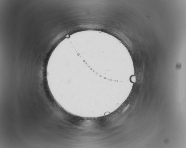 X0000116270111201001111022