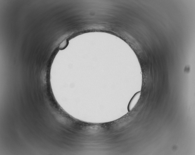 X0000116270112201001111022