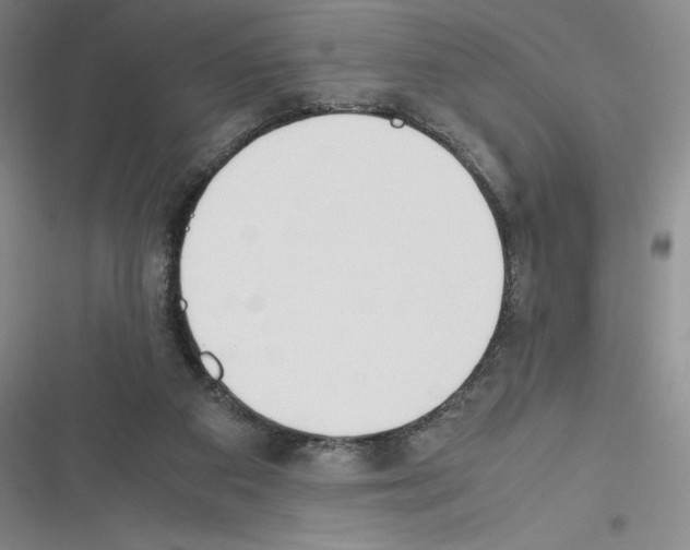 X0000116270113201001111022