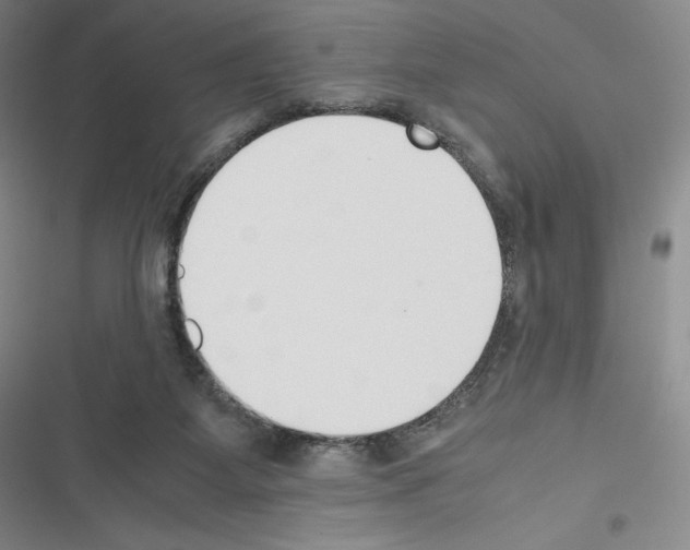 X0000116270115201001111022