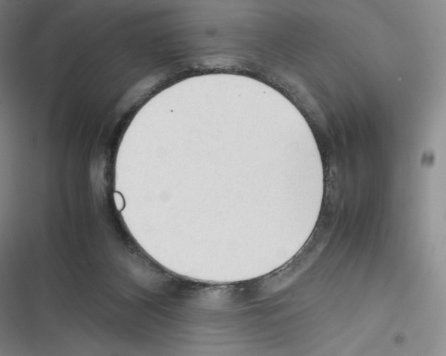 X0000116270116201001111022