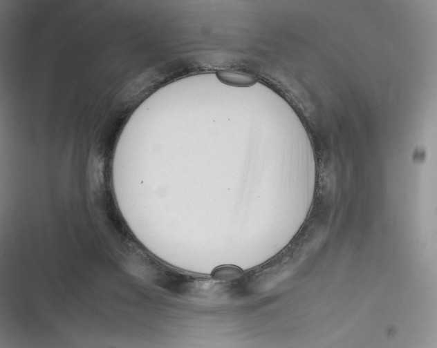 X0000116270117201001111022