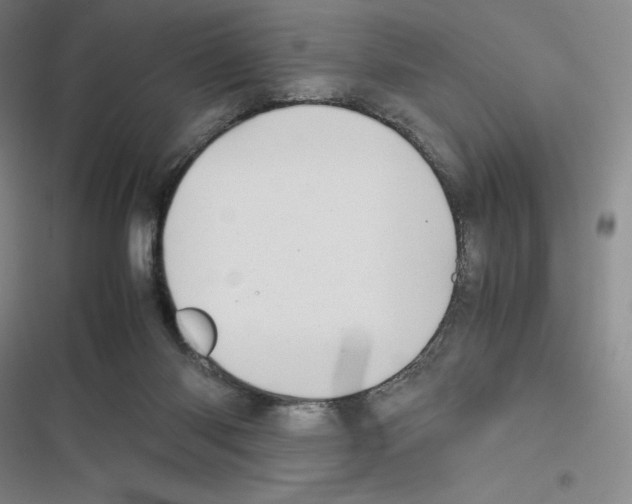 X0000116270118201001111022