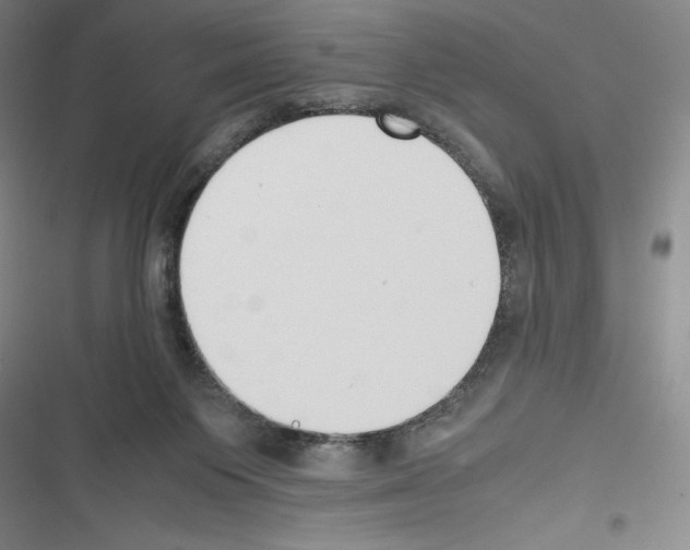 X0000116270119201001111022