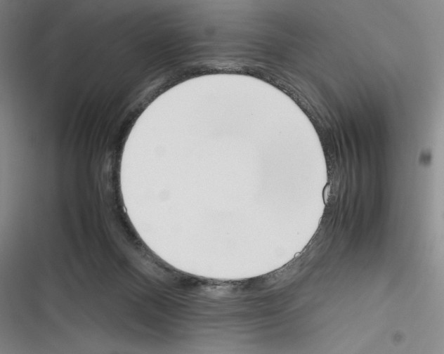 X0000116270120201001111022