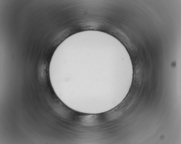 X0000116270122201001111022
