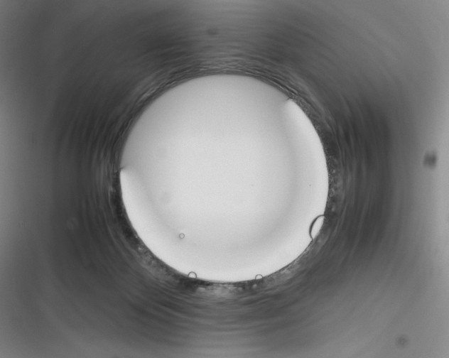 X0000116270124201001111022