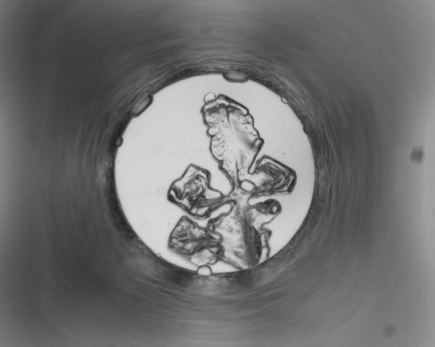 X0000116270125201001111022