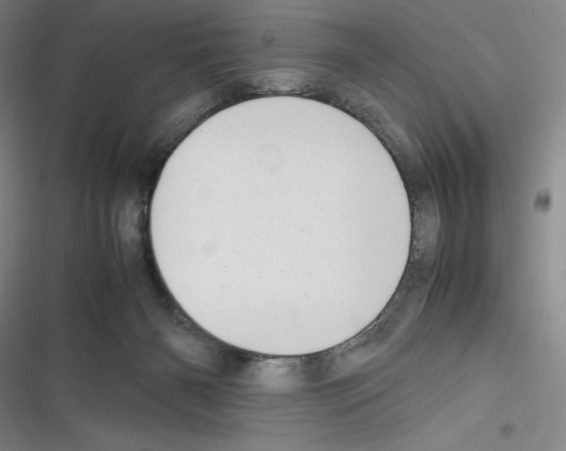 X0000116270126201001111022