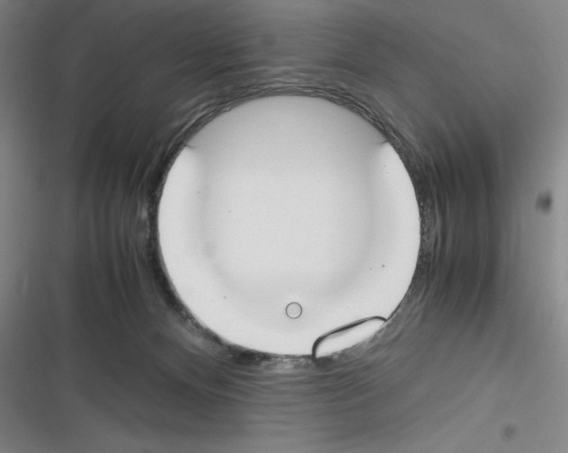 X0000116270128201001111022