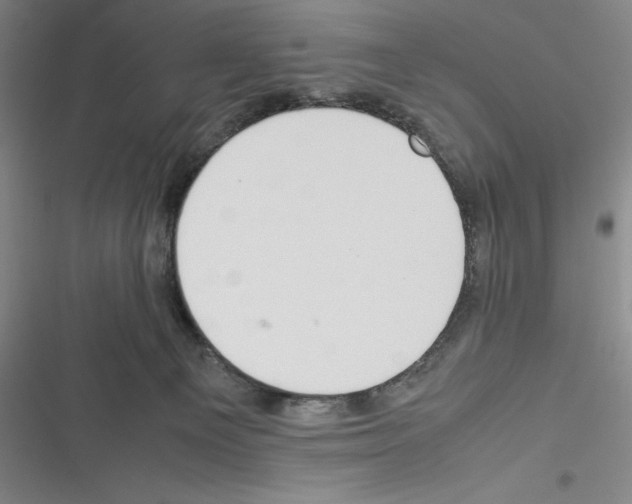 X0000116270129201001111022