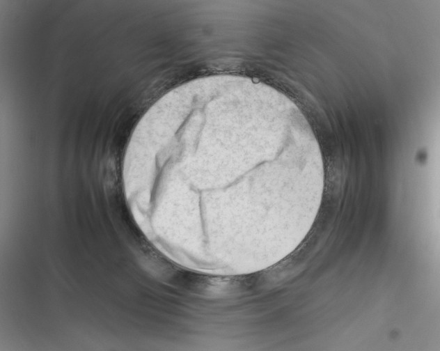 X0000116270130201001111022