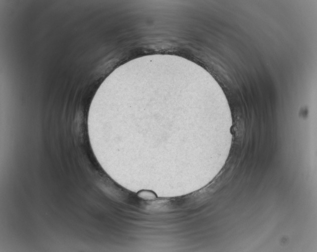 X0000116270132201001111022