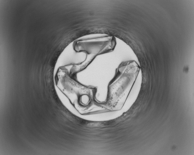 X0000116270133201001111022