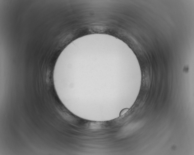 X0000116270134201001111022