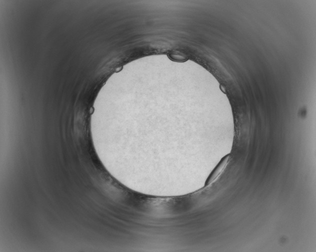 X0000116270136201001111022