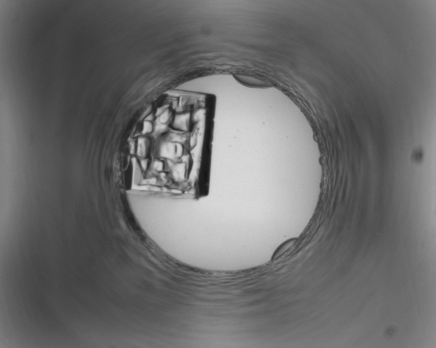 X0000116270137201001111022