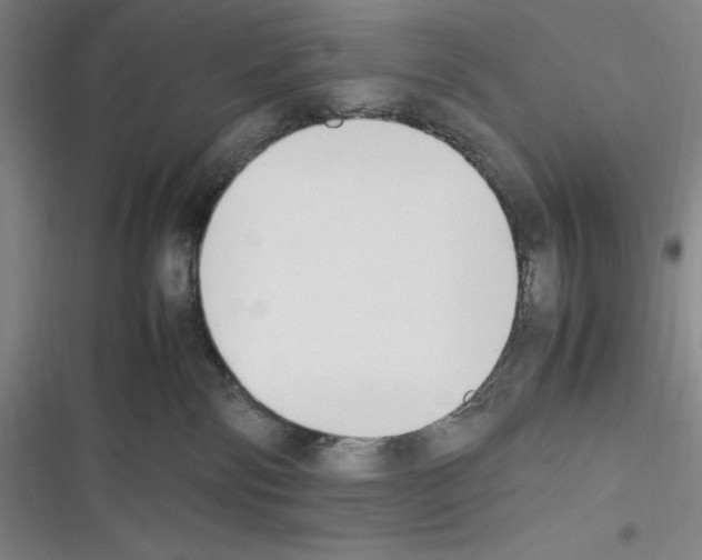 X0000116270138201001111022