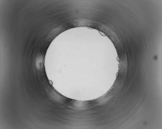 X0000116270142201001111022