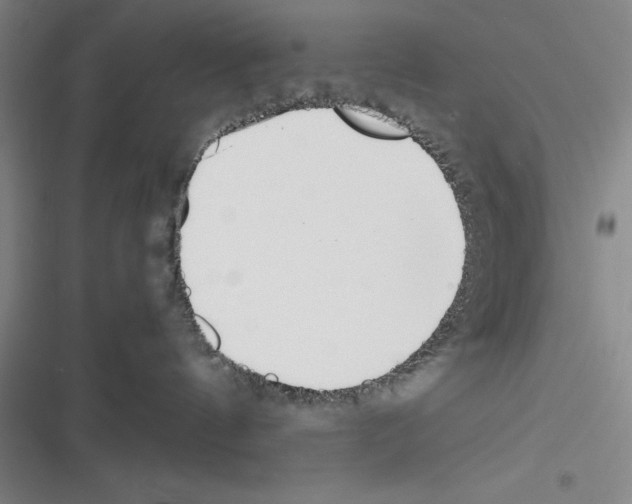X0000116270144201001111022