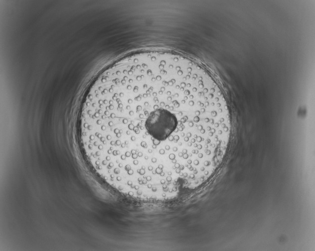 X0000116270145201001111021