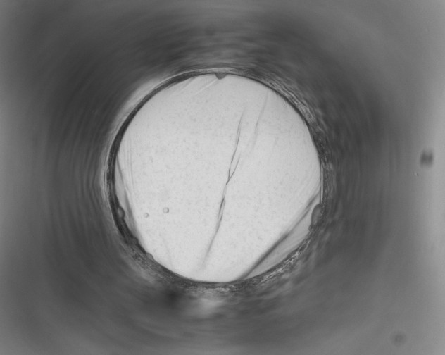 X0000116270147201001111021