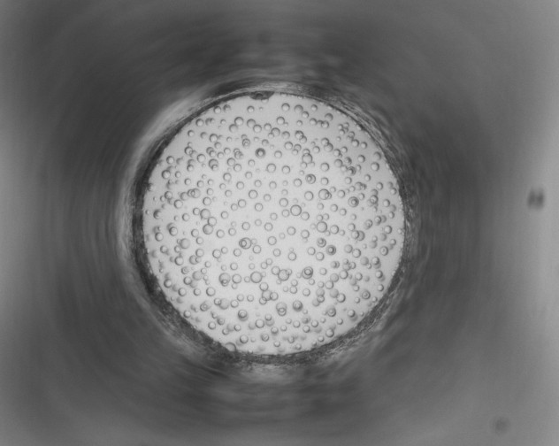 X0000116270149201001111021