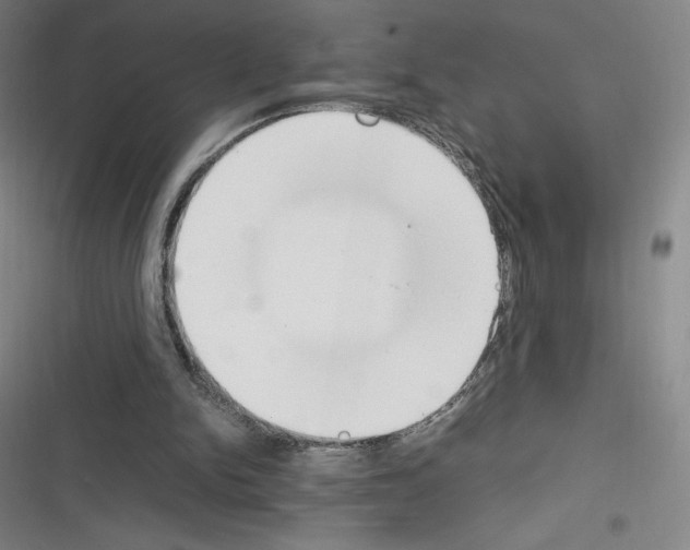 X0000116270150201001111021