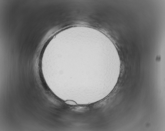X0000116270151201001111021