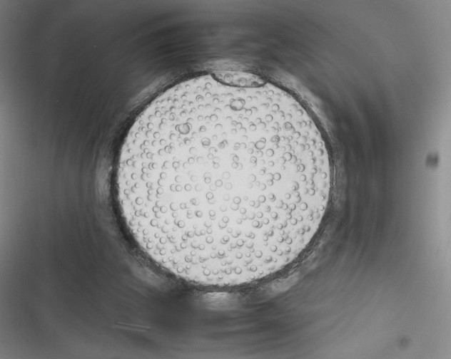 X0000116270153201001111021