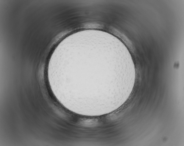 X0000116270155201001111022