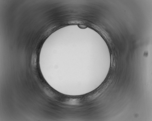 X0000116270157201001111022
