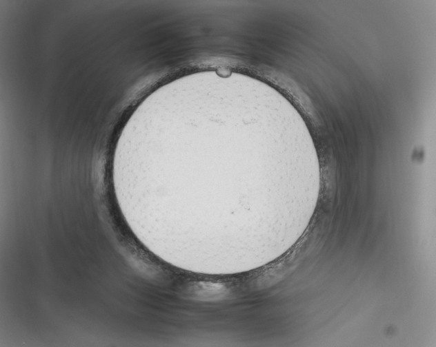 X0000116270159201001111022