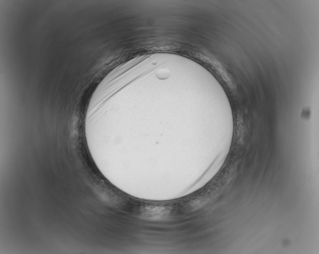 X0000116270161201001111022