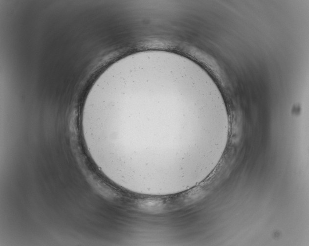 X0000116270162201001111022