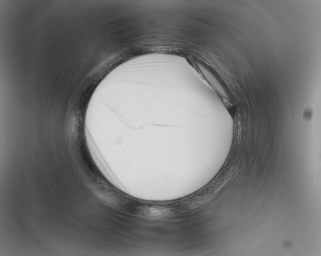X0000116270165201001111022