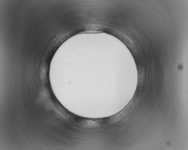 X0000116270166201001111022