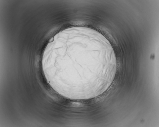 X0000116270167201001111022