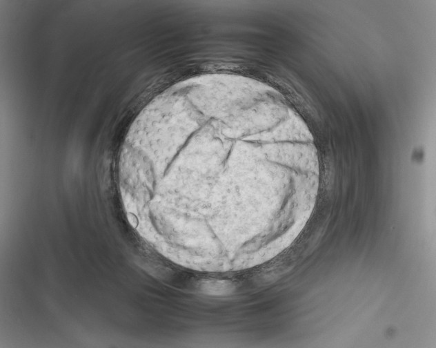 X0000116270169201001111022