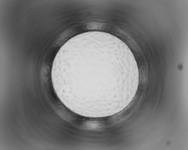 X0000116270171201001111022