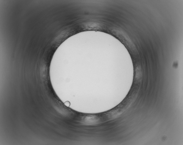 X0000116270173201001111022