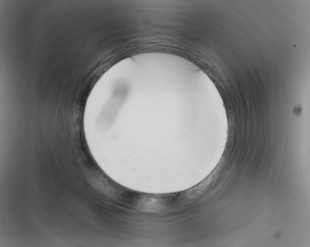 X0000116270174201001111022